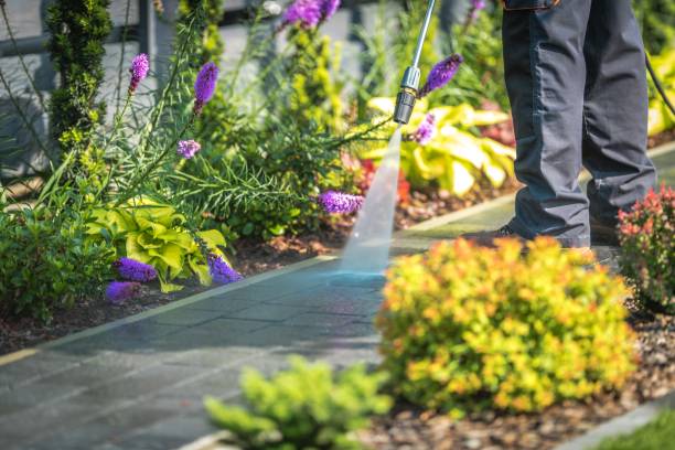 Best Pool Deck Cleaning  in Arcadia, LA