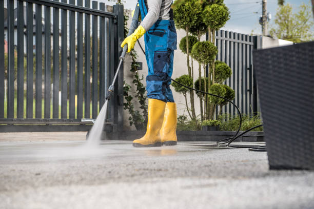 Solar Panel Cleaning in Arcadia, LA